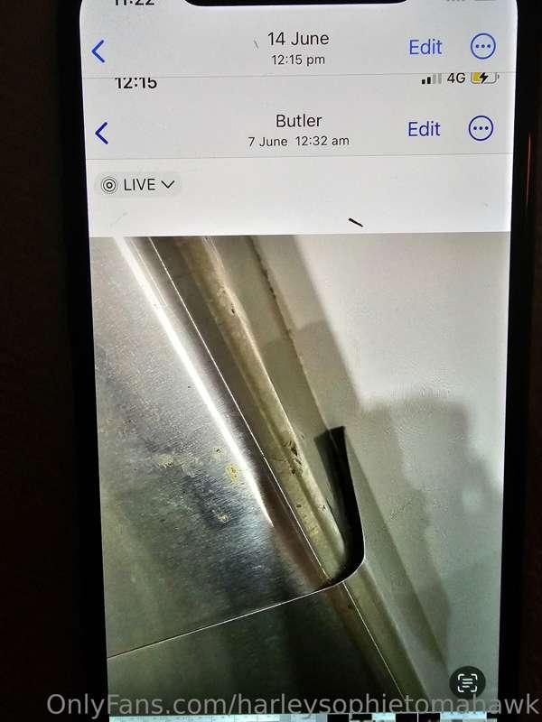 harleysophietomahawk image #5