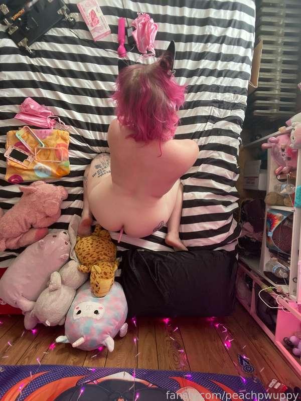 peachpwuppy image #3