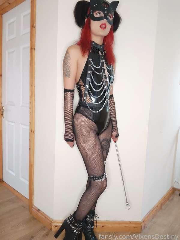 vixensdestiny image #1