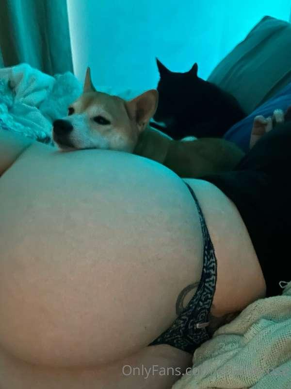 Just hangin out with the dogs 🐕 🐕