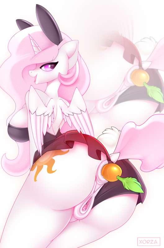 Molestia and carrot