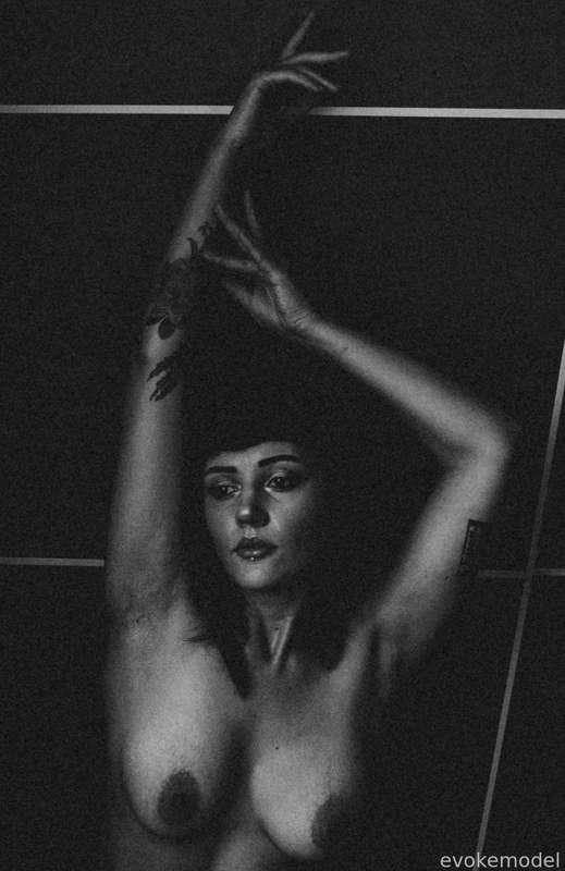 evokemodel image #11