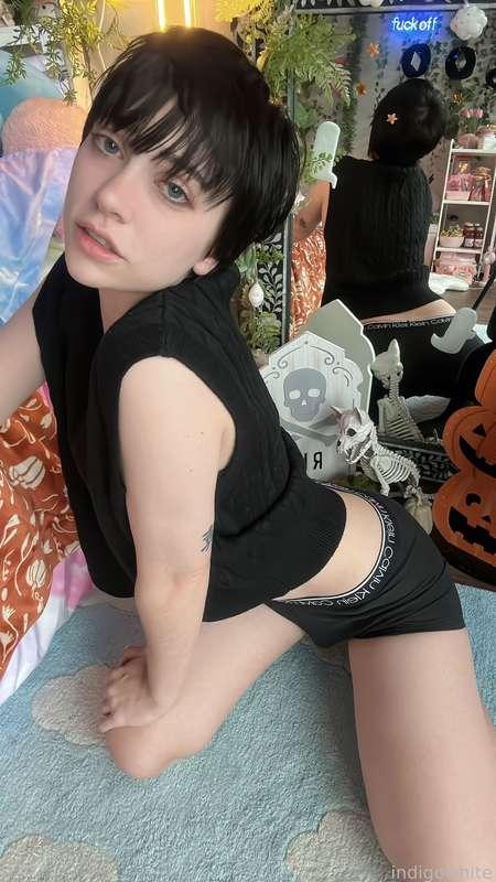 indigowhite image #123