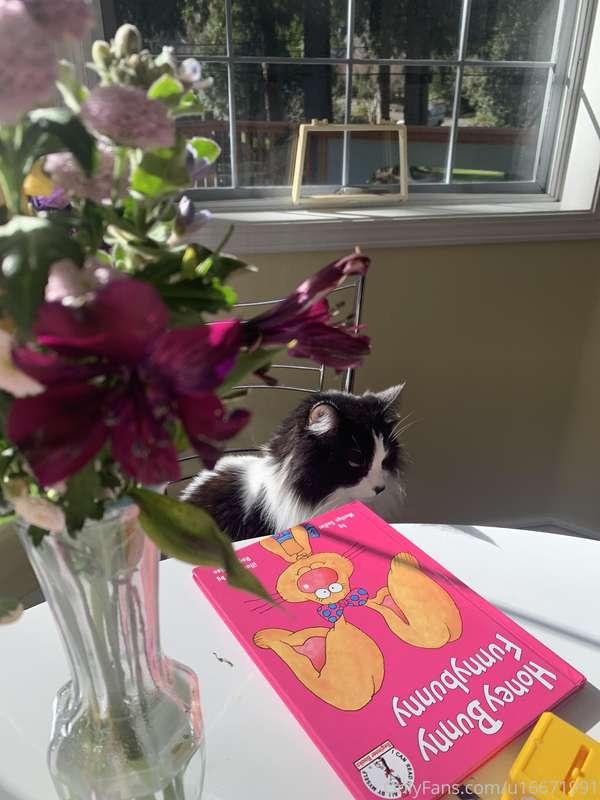 Happy Caturday!! This is Penelope, like the cat from Pepe le..