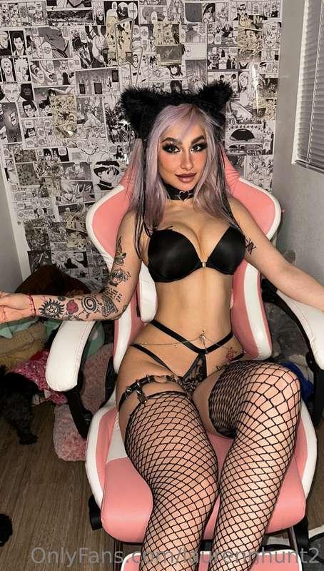 Everything your little heart desires