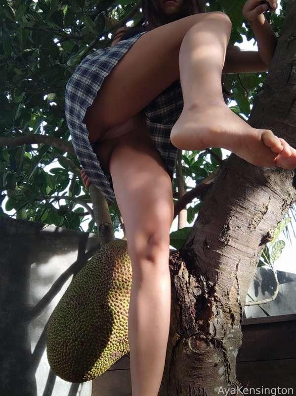 ayakensington image #4