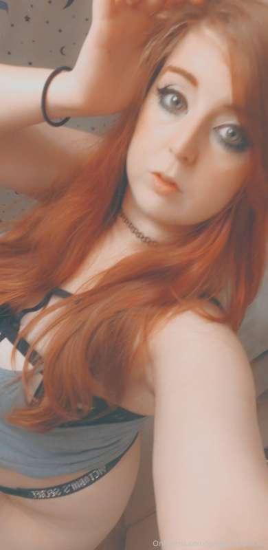 gingersnapbratt image #0