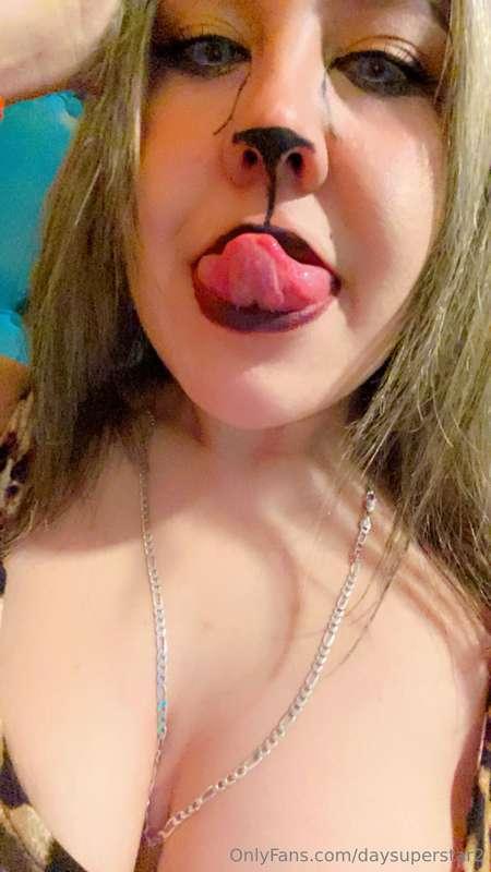 daysuperstar2 image #9