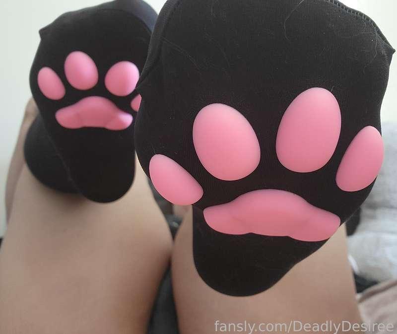 deadlydesiree image #7
