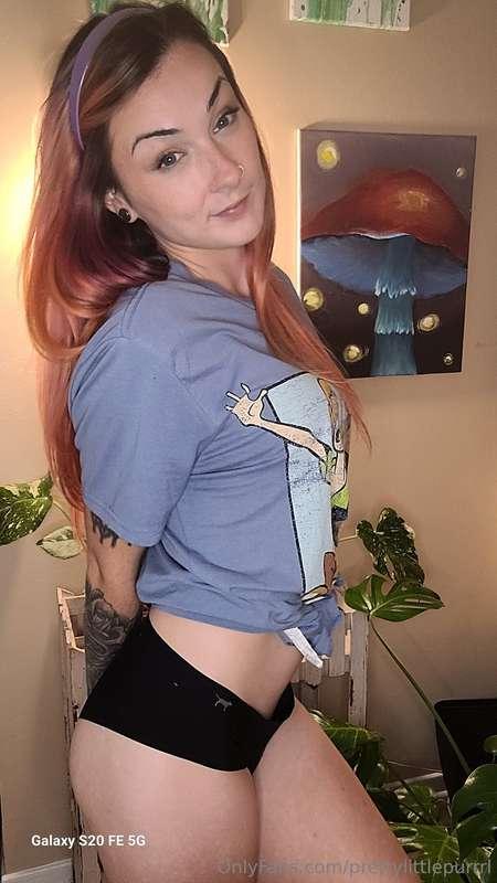 prettylittlepurrrl image #1