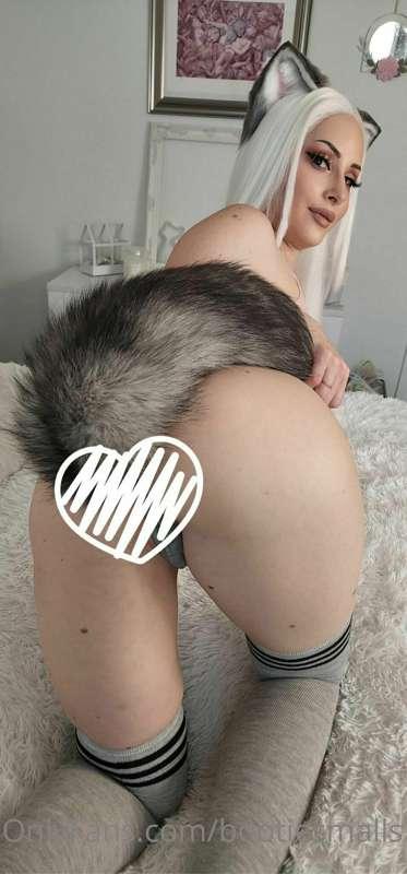Have you ever seen someone do tricks with their tail?

Head ..
