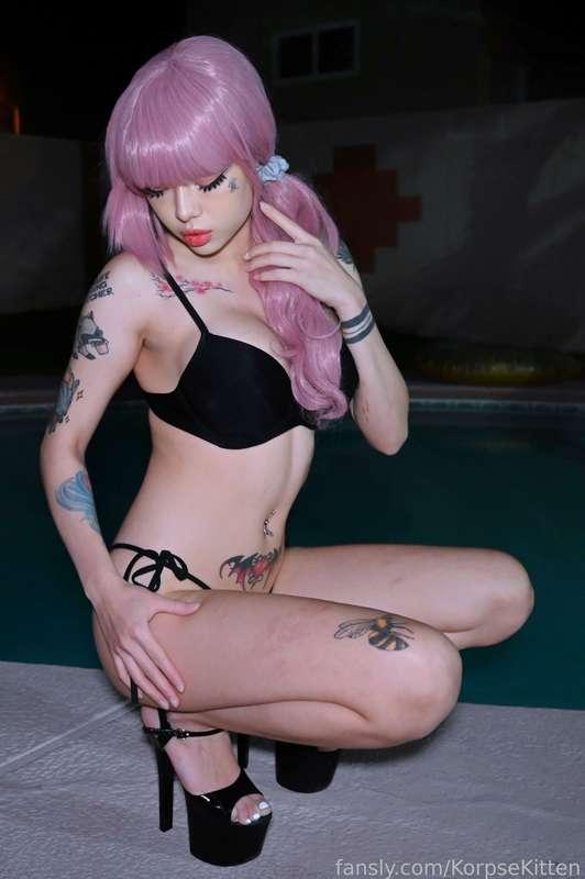 korpsekitten image #1