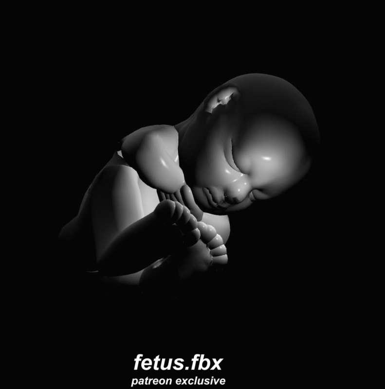 [fbx]fetus_animated lifeform fbx file