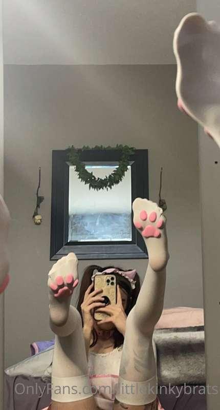 Look at my lil paws! 🥰