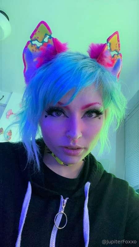 what would you get me for christmas?? 😽