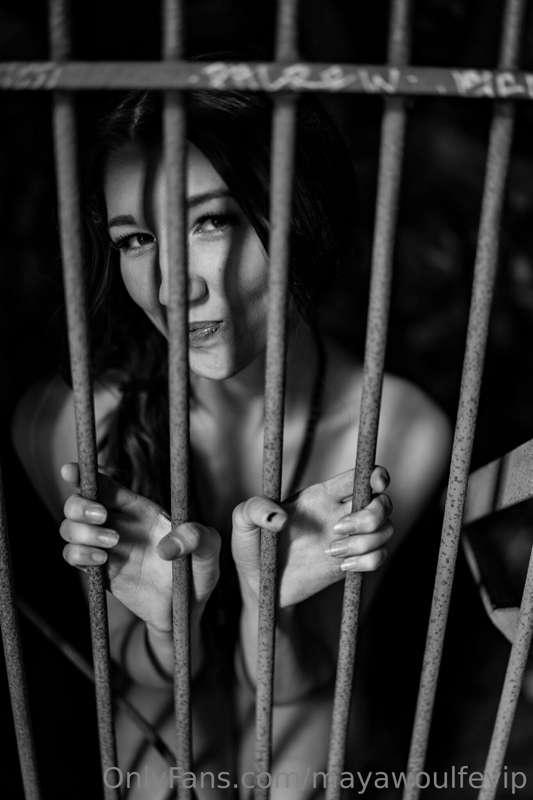 mayawoulfevip image #12