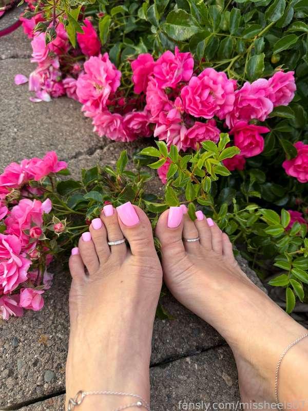 So cute 😍 I love it 🥰
#Feet #foot #worshipping #heels #footfetish #footjob #shoejob #stockings #nylon #soles #toes #sandals #footlicking #wedges #pedi #manicure #longnails #nails #legs #highheels #mules #pedicure #shoes #feetfetish #legs #cumshot #cum #cumonfeet 