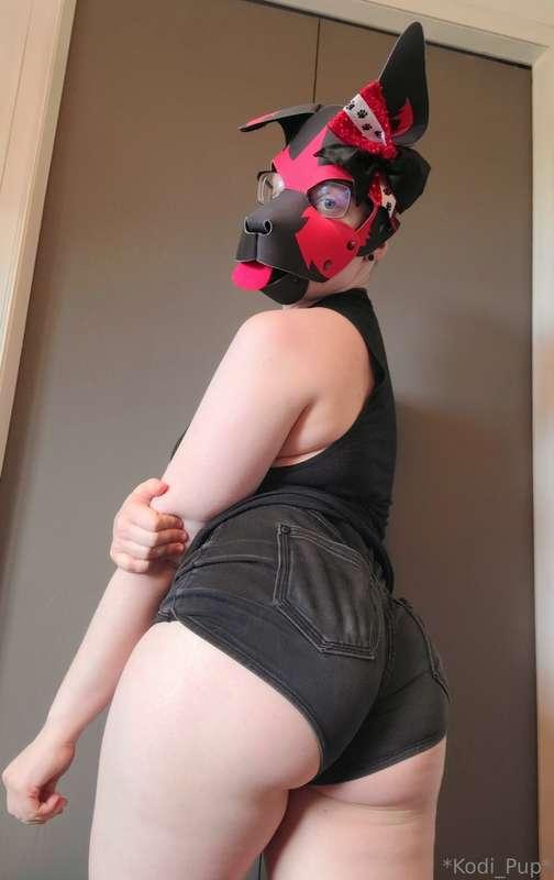 kodi_pup image #0