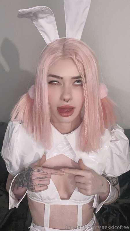 saekkicofree image #0