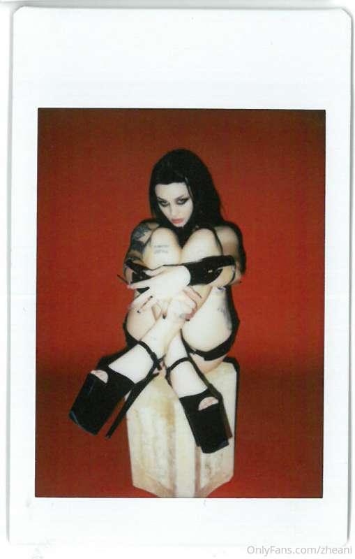 THE RED POLAROID COLLECTION