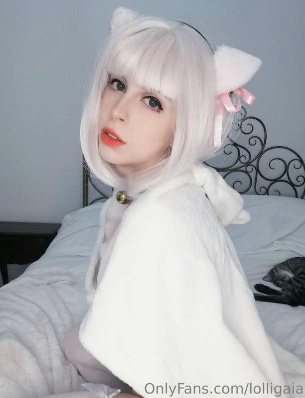 Plushie Cat -Amateur Lewd Cute- #4