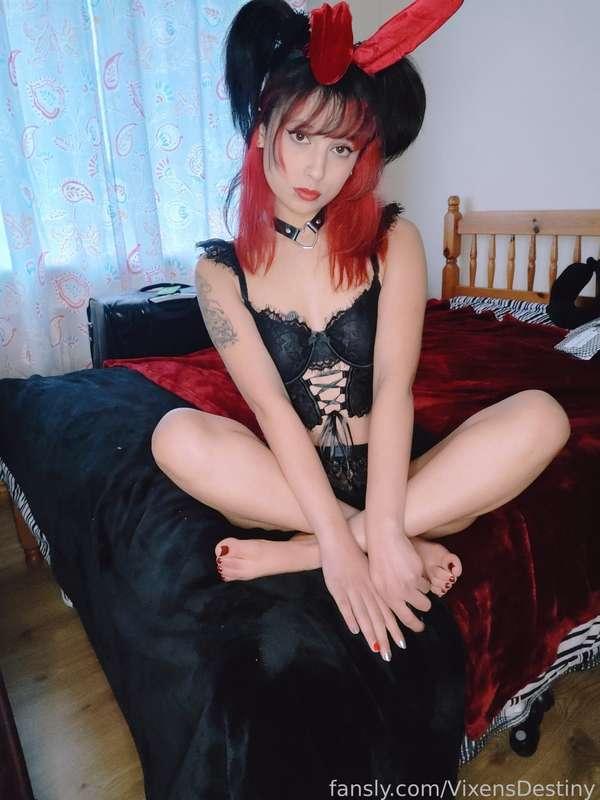 vixensdestiny image #1
