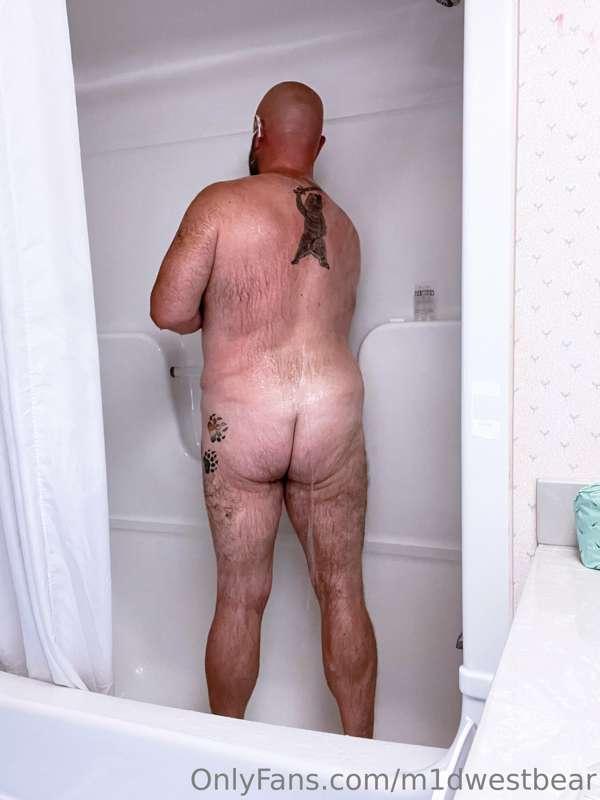 m1dwestbear image #5