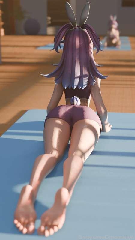 cottontailva image #1