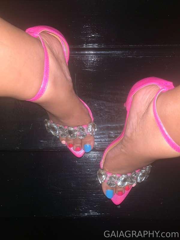 for my Professor’s Pets that love feet 🦶🏽