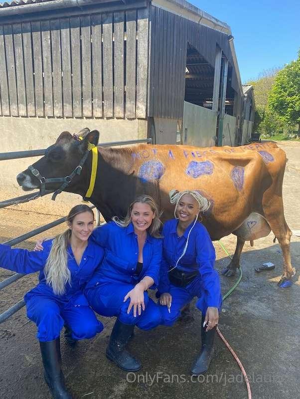 ***NOT A PIECE OF MEAT 🐮***
What an episode for me to start ..