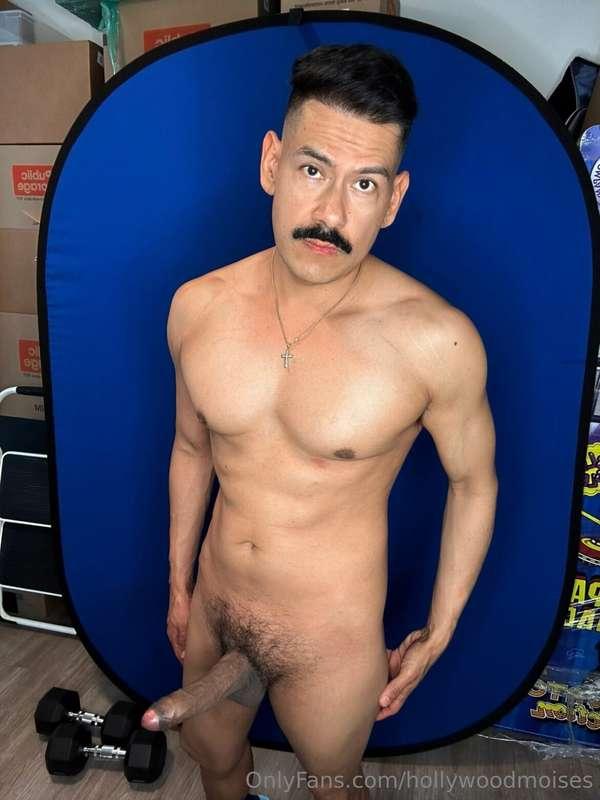hollywoodmoises image #2