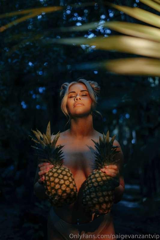 paigevanzantvip image #0
