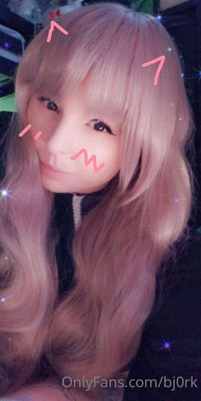 🌸🌸🌸🌸