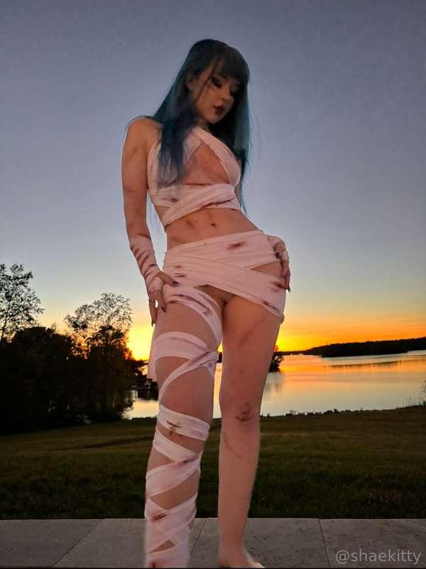 shaekitty image #2
