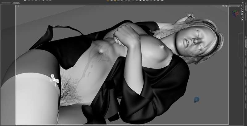 Ciri WIP