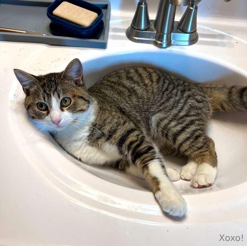 He’s trouble just like his mom. 😉❤️💖