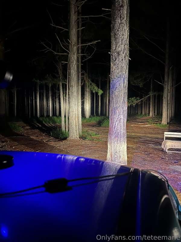 micro bikini lingerie shoot in the forest last night..  im o..