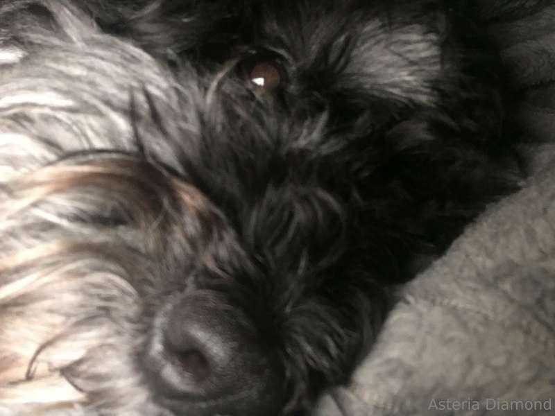 I love waking up next to my son in the morning ❤️