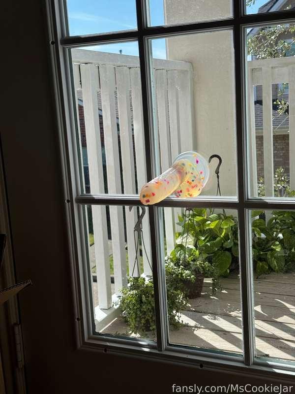 mscookiejar image #0