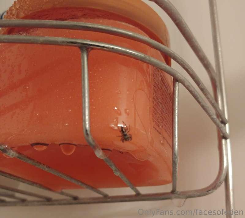 Found a cute little someone spying on me in the shower