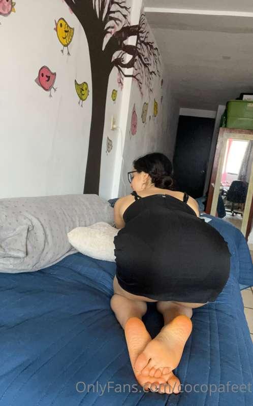 plantitas en 4 y vestidito pegadito