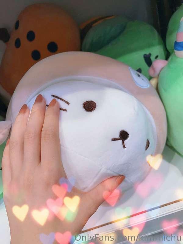 Are you having a good weekend 💕these plushies are the airpor..