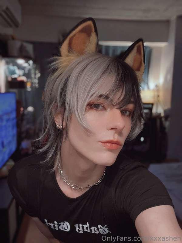 xxxashen image #1