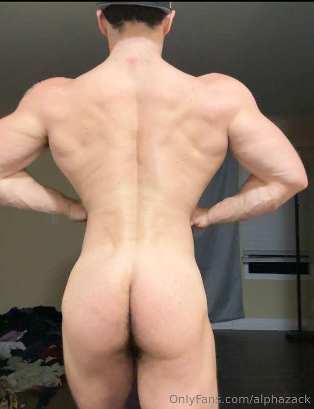 alphazack image #4