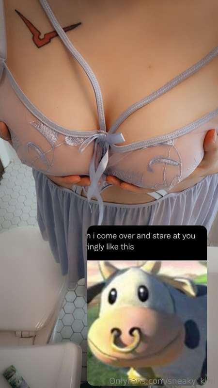 Do you enjoy the meme or my boobs more???
