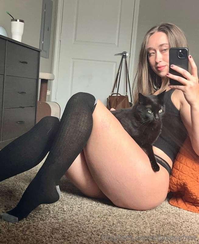 Kitty cat