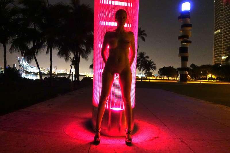 miaexhib image #2