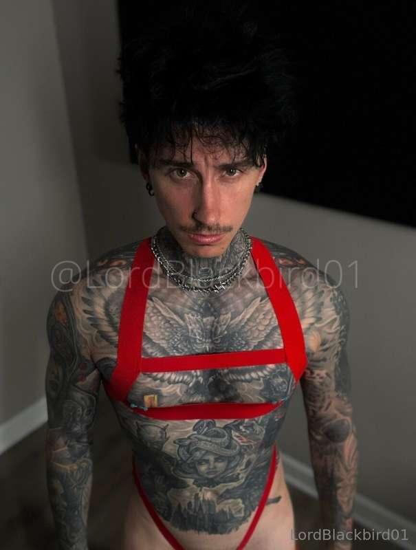 Swipe for video Like my new outfit? Finally one of the costu..