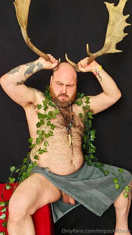 mrpocketbear image #1