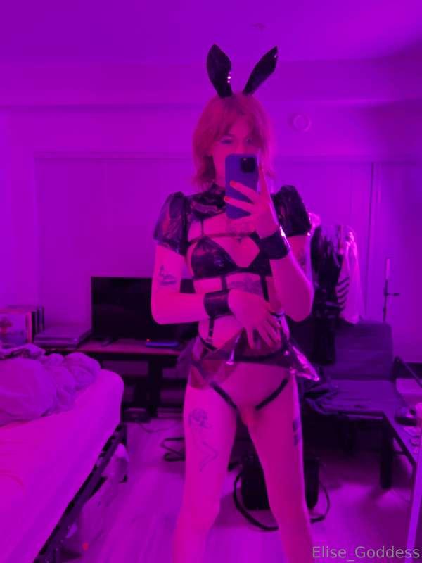 Bnuy, Cyber Bnuy